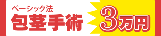 ベーシック法包茎手術 3万円